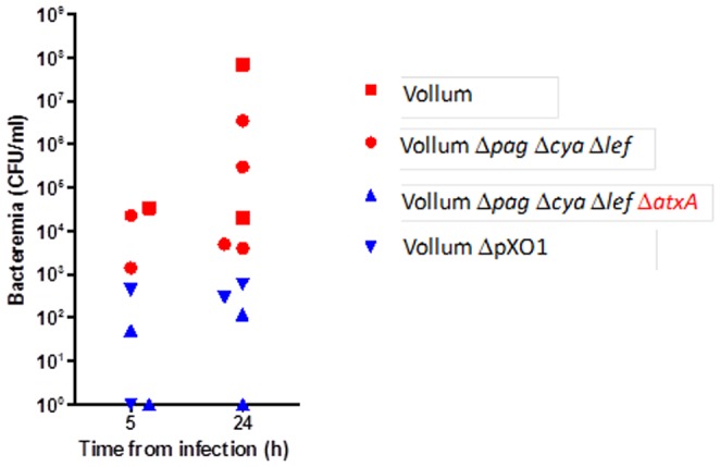 Figure 5