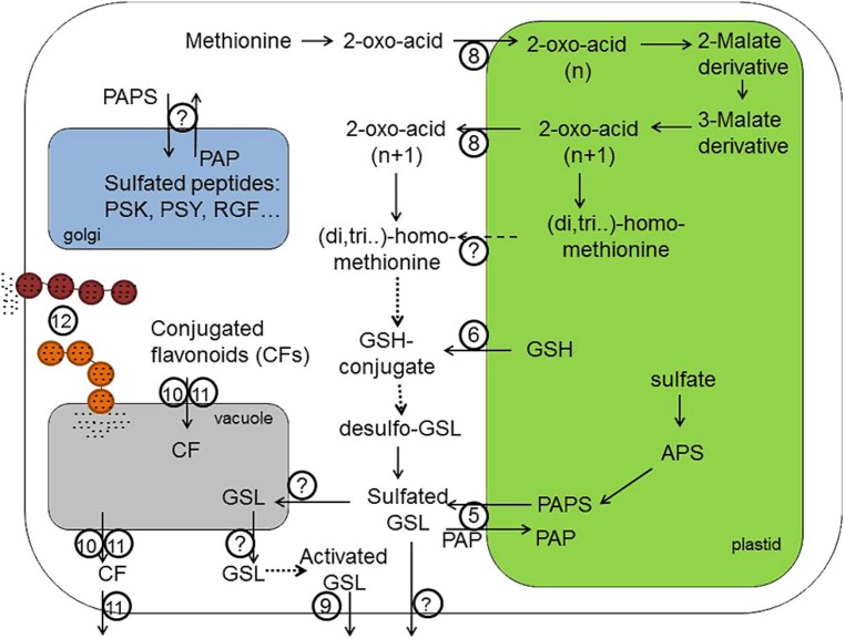 FIGURE 2