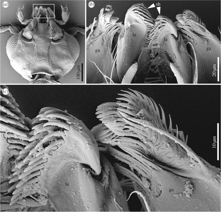 Figure 3.