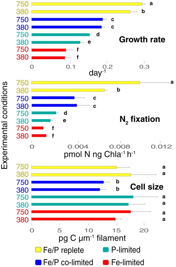 FIG 1