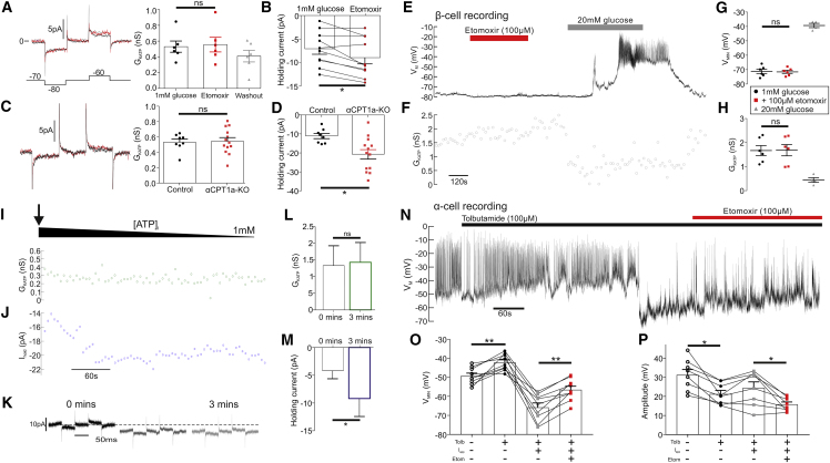 Figure 5