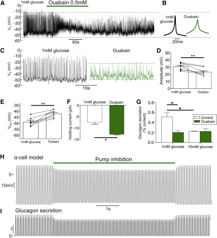 Figure 6