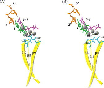 Fig. 9