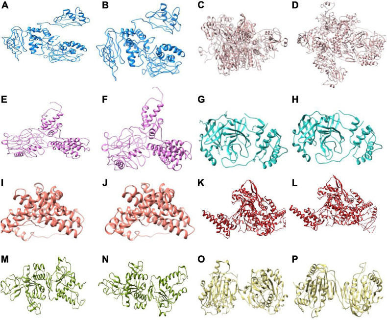 FIGURE 3