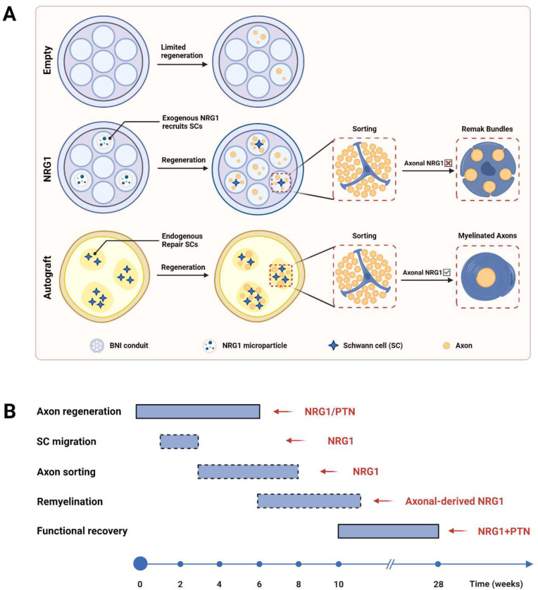 Figure 12.