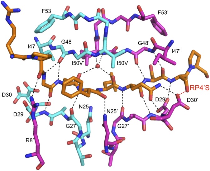 Fig. 4.