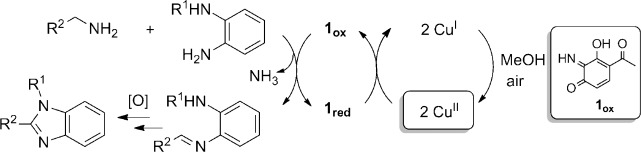 Scheme 1