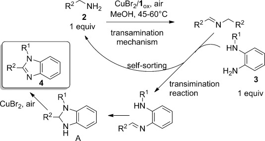 Scheme 2