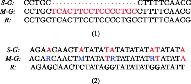 Fig. 9.