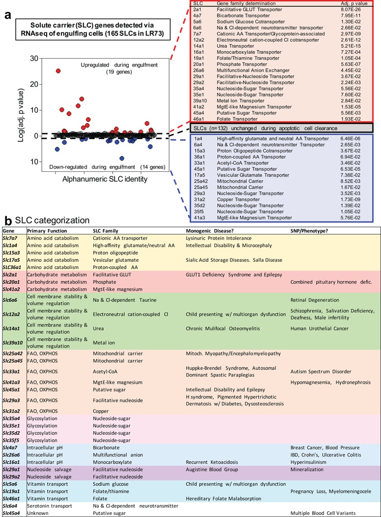 Extended Data Figure 2.