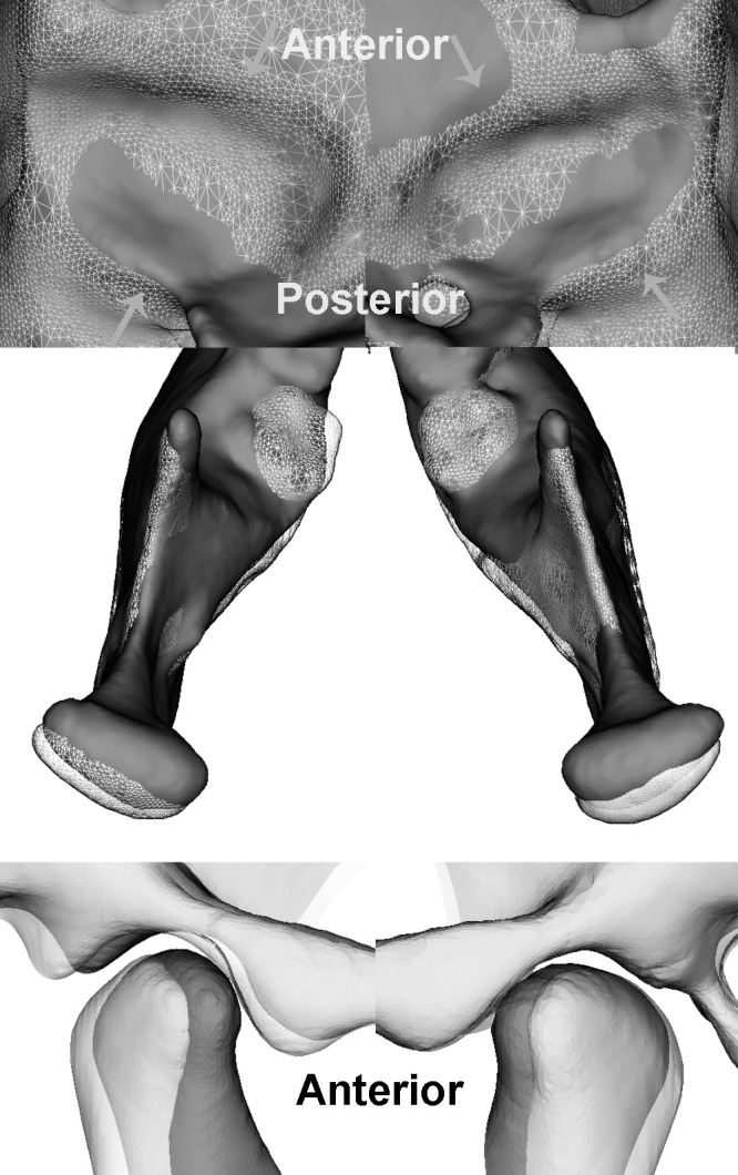 Figure 4.