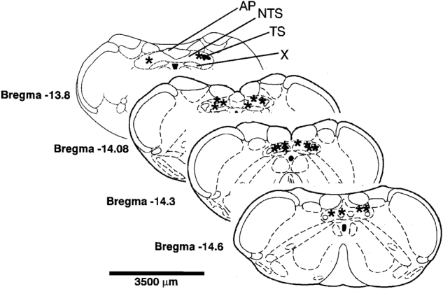 Figure 8