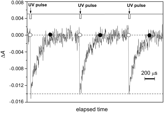 Figure 25