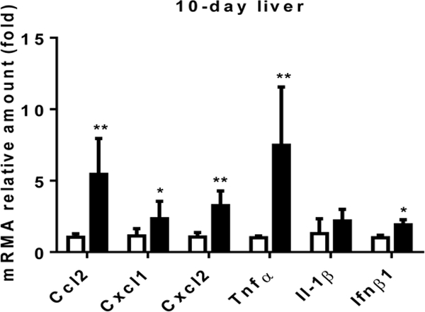 Fig 2.