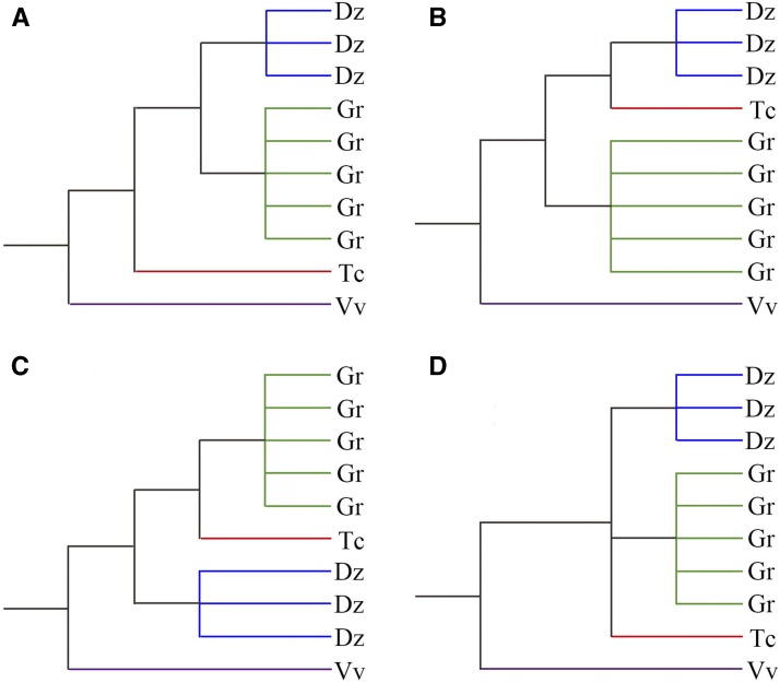 Figure 6.