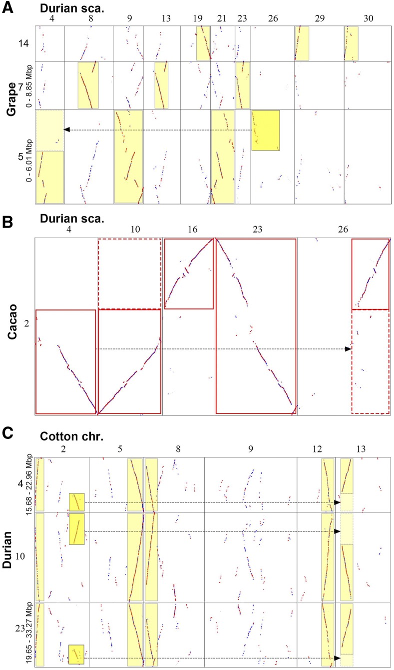 Figure 3.