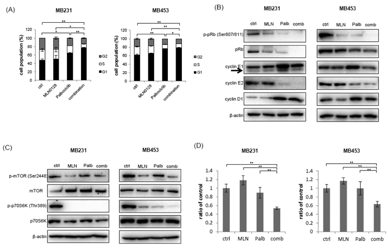 Fig. 4: