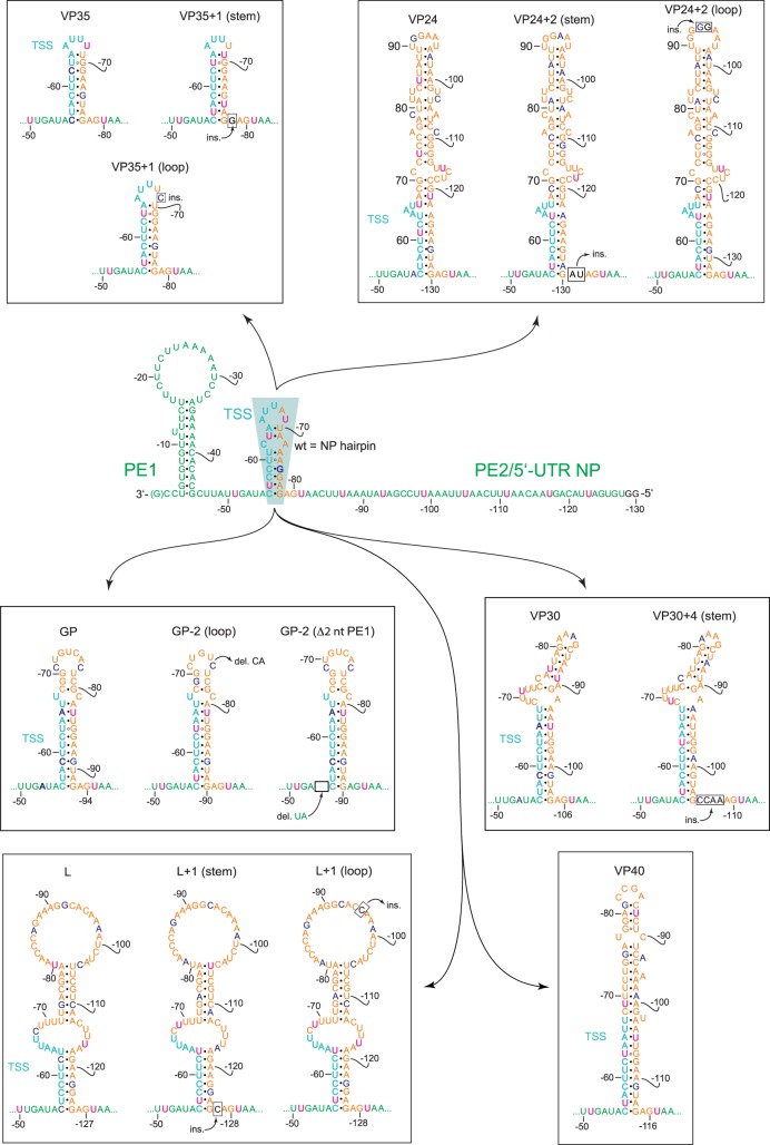 FIGURE 3.