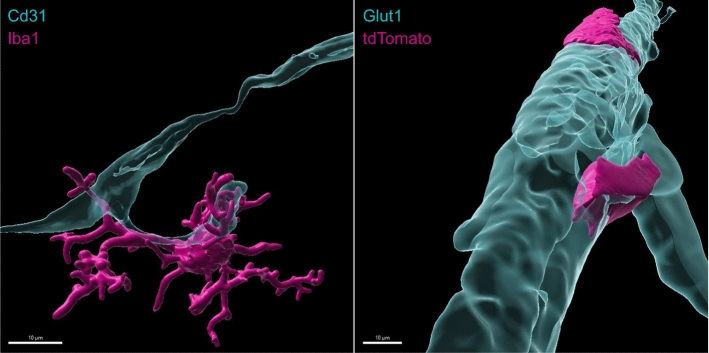 Fig. 1: