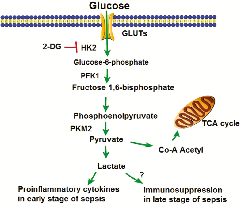 Figure 7.