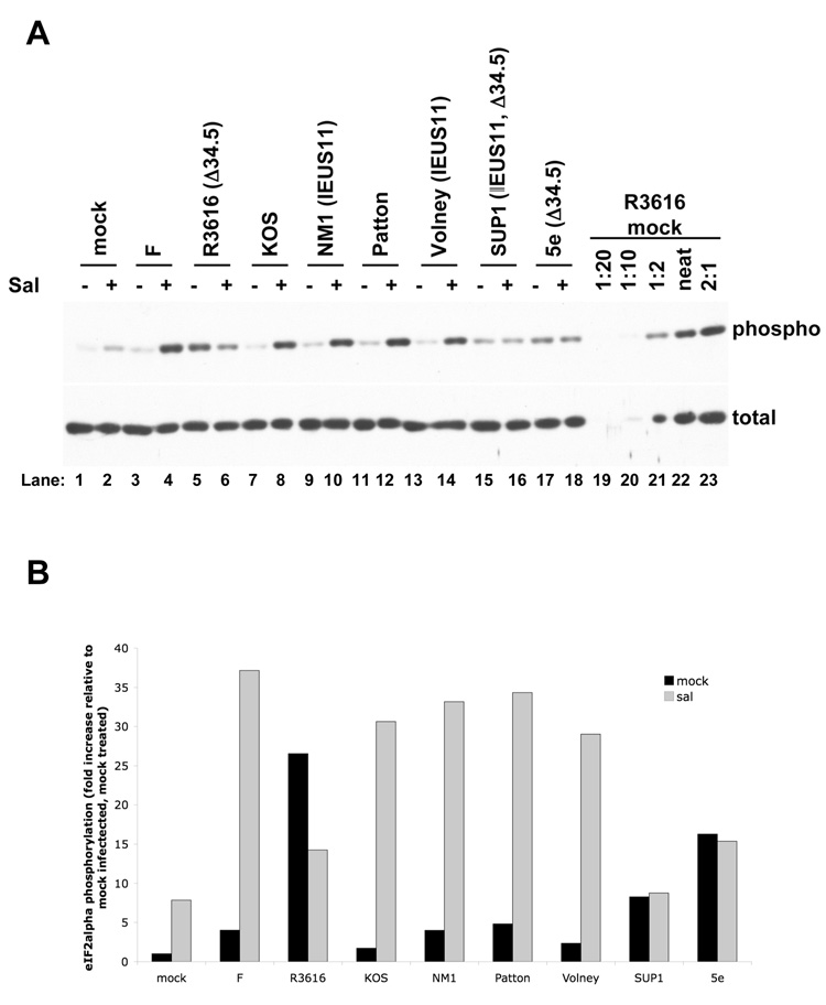 FIG. 7