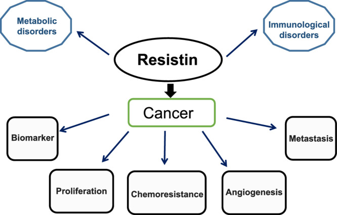 Image, graphical abstract