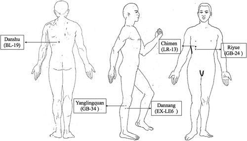 FIGURE 1