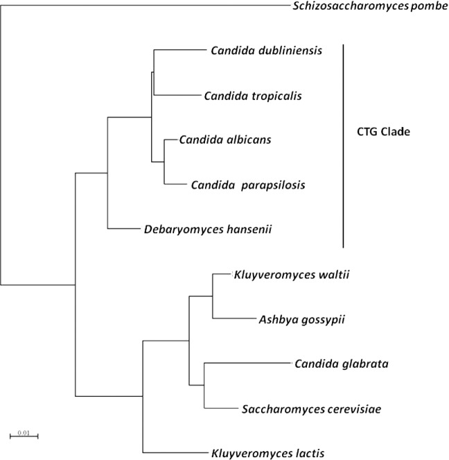 Figure 1.