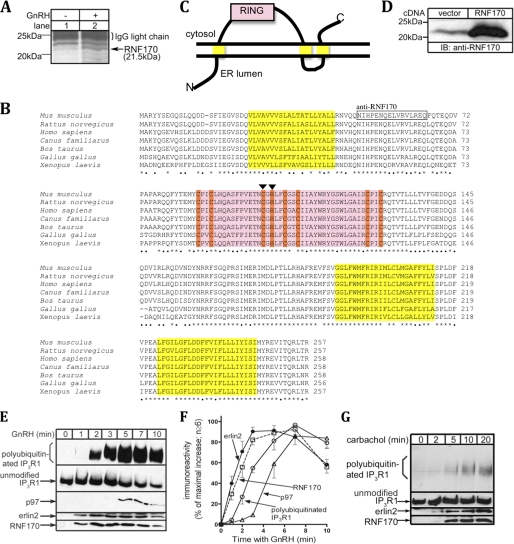 FIGURE 1.