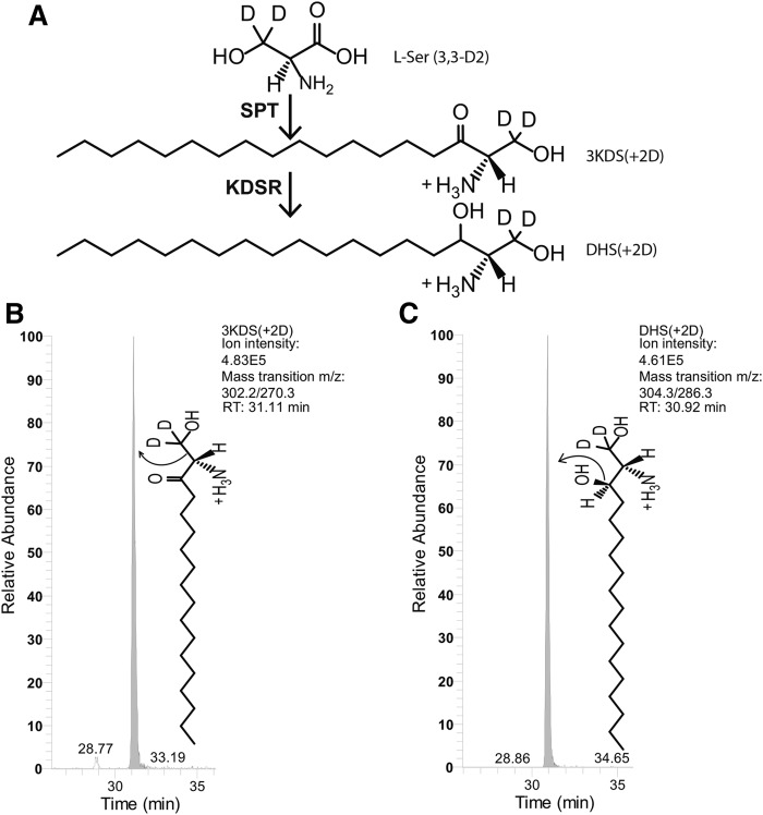 Fig. 3.