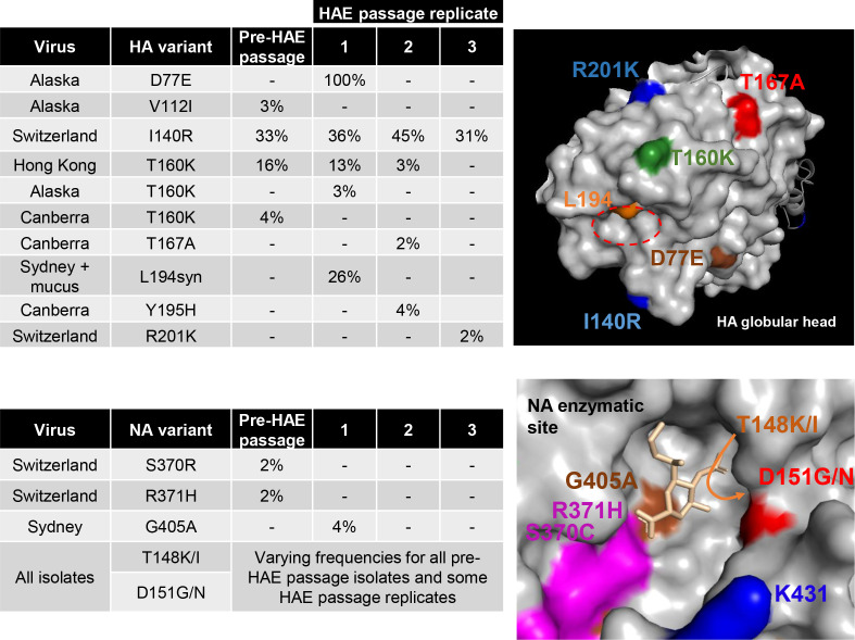 Fig. 6.