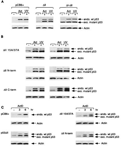 FIG. 7