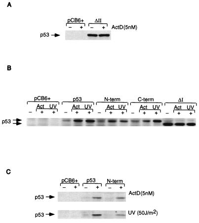 FIG. 8