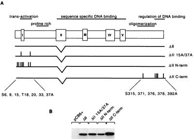 FIG. 6