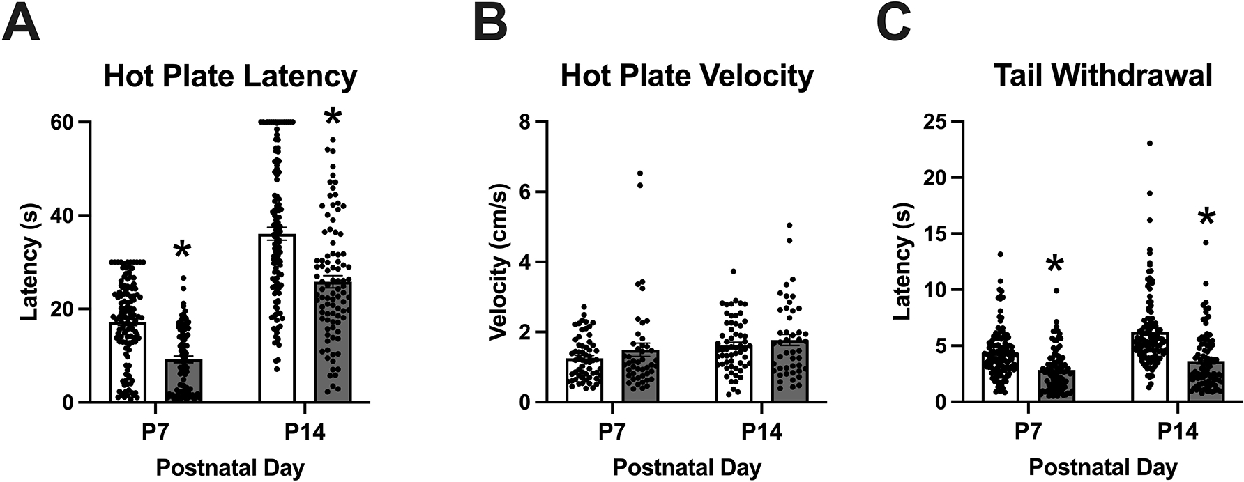 Figure 2: