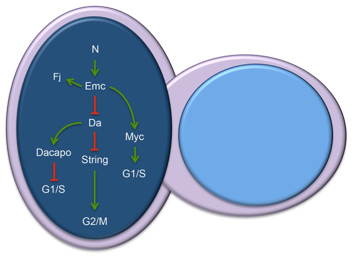 Fig. 7.