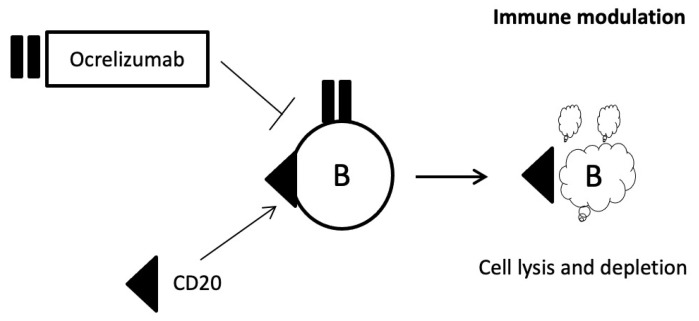 Figure 8