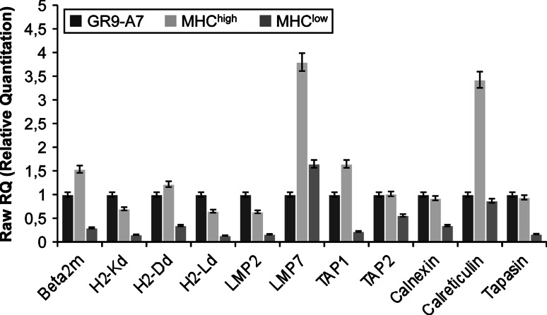 Fig. 4