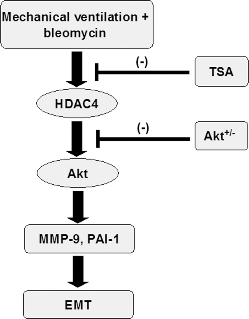 Fig 9