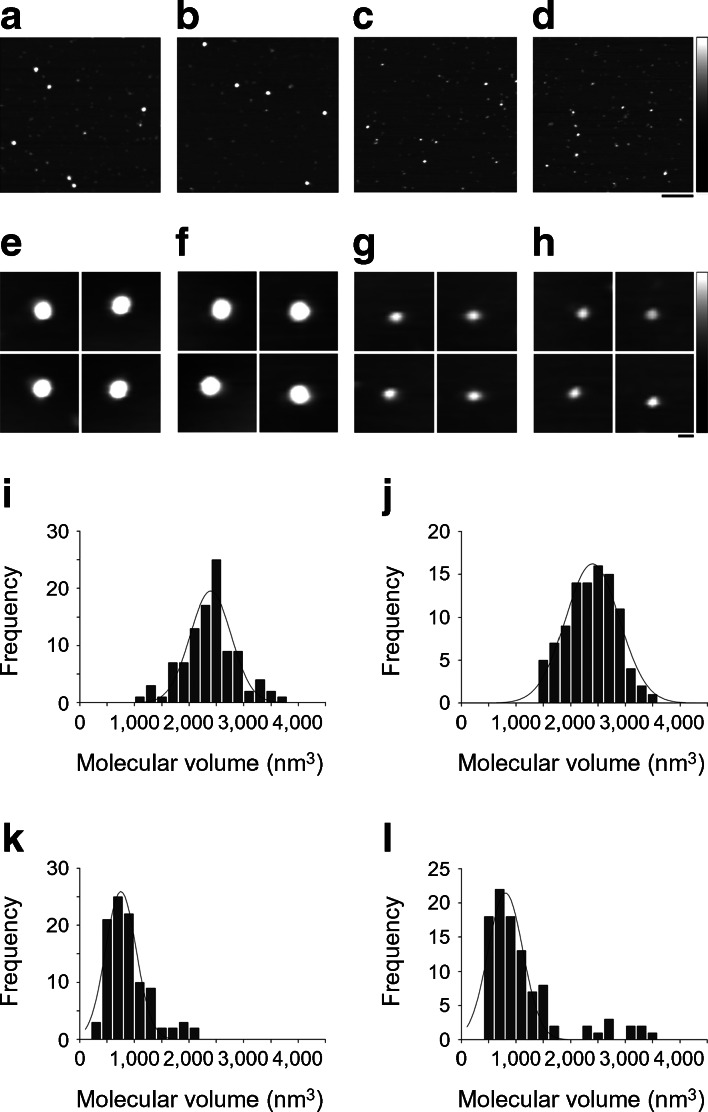 Fig. 4