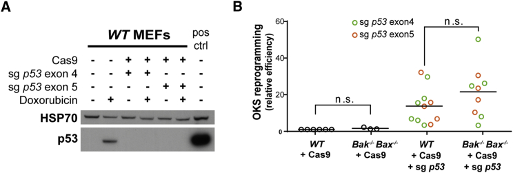 Figure 3