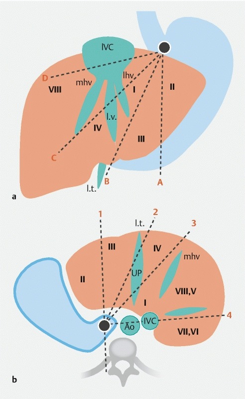 Fig. 2 a