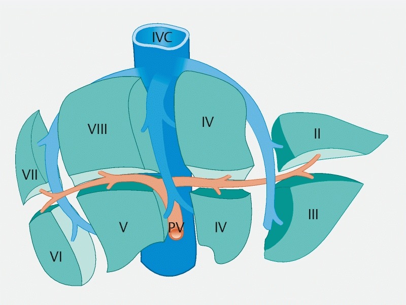 Fig. 1