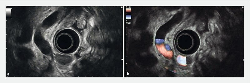 Fig. 6