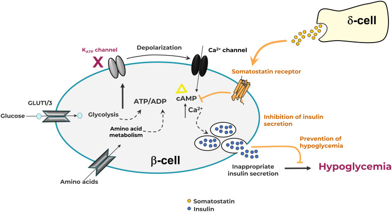 Figure 2