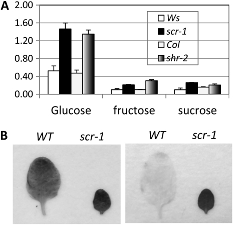 Figure 3.