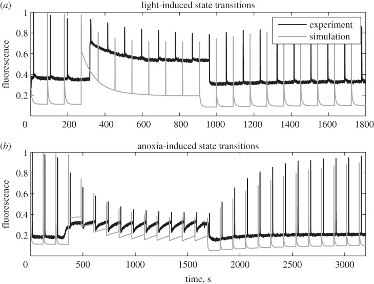 Figure 2.