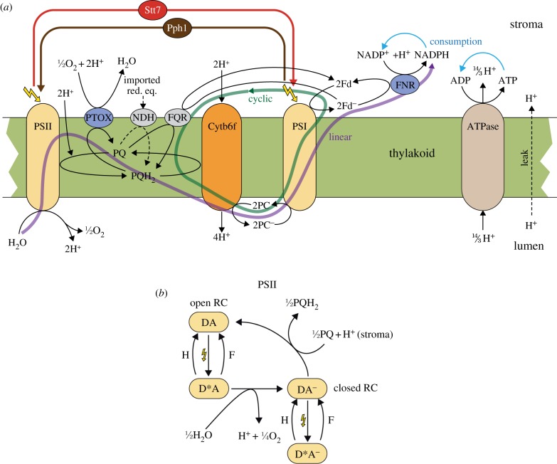 Figure 1.