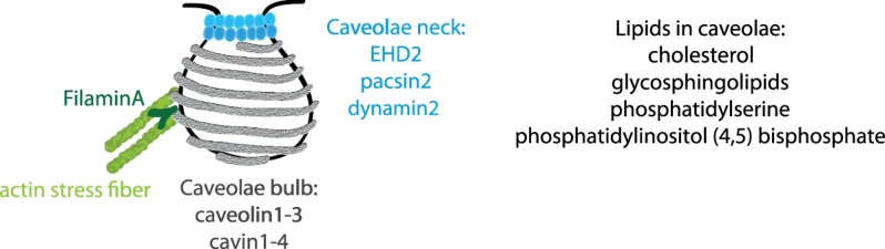 Figure 1.