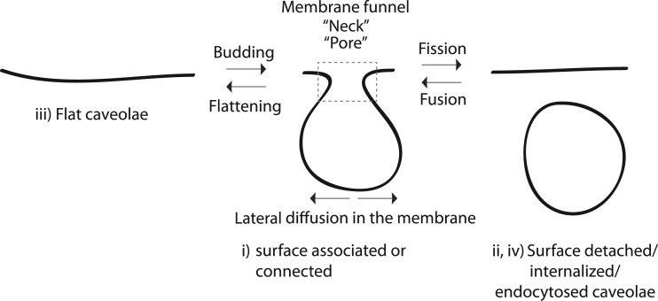 Figure 2.